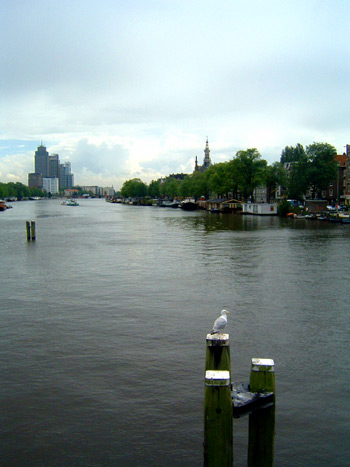 amstel1-7-03.1log (48k image)