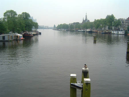 amstel2-6-03.1 (44k image)