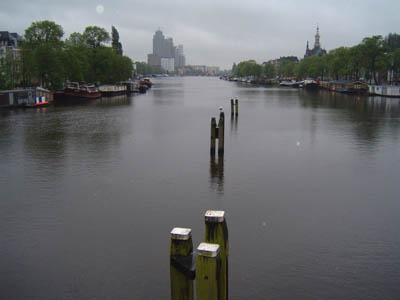 amstel23-5-03.1 (38k image)