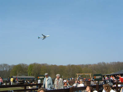 geitvliegtuig (35k image)