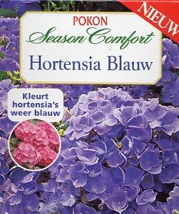 hortensiaA (32k image)