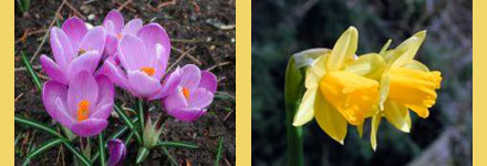 lente100 (22k image)