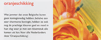 oranjeschikking1 (17k image)