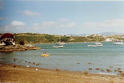 strandnz (13k image)