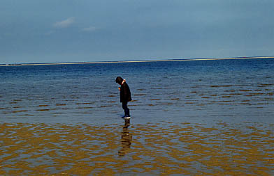 timstrand2 (25k image)