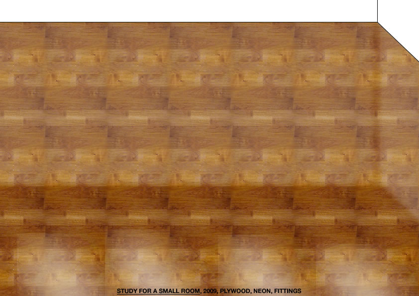 Geert Dekkers - a drawing a day at nznl.com - STUDY FOR A SMALL ROOM, 2009, PLYWOOD, NEON, FITTINGS
fireworks file