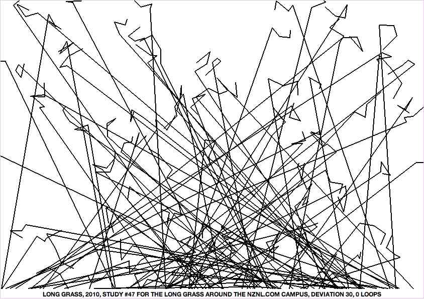 Geert Dekkers - a drawing a day at nznl.com - LONG GRASS, 2010, STUDY FOR THE LONG GRASS AROUND THE NZNL.COM CAMPUS
web page
