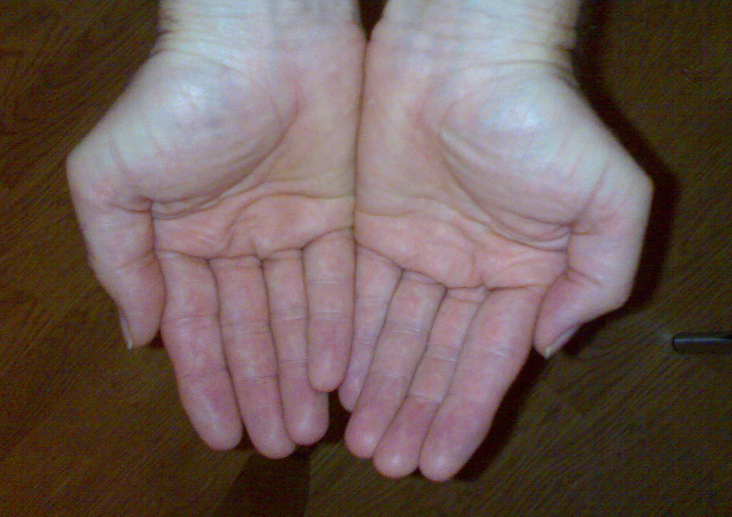 Geert Dekkers - a drawing a day at nznl.com - PROJECTION CHAMBER, 2010, PROJECTION CHAMBER
web page